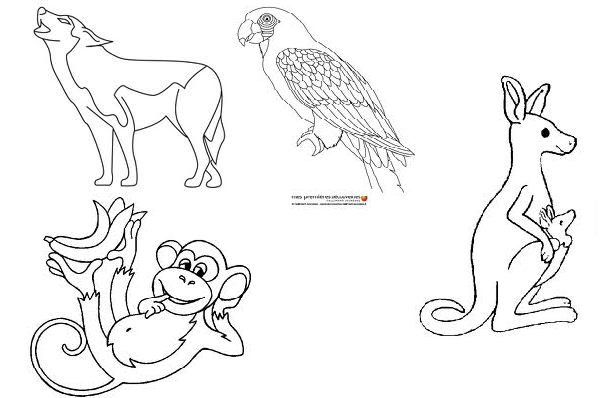 Coloring page: Zoo (Animals) #12839 - Free Printable Coloring Pages