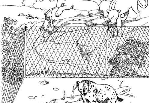 Coloring page: Zoo (Animals) #12846 - Free Printable Coloring Pages