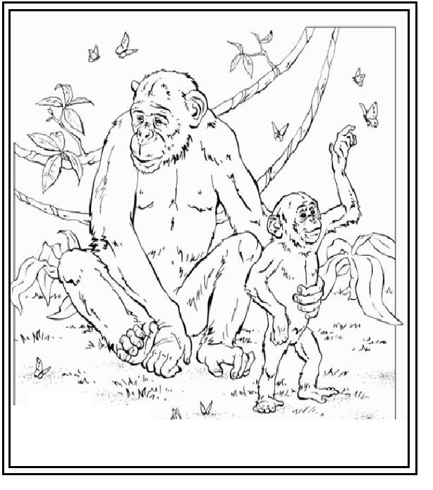 Coloring page: Zoo (Animals) #12851 - Free Printable Coloring Pages