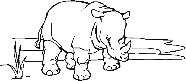 Coloring page: Zoo (Animals) #12855 - Free Printable Coloring Pages