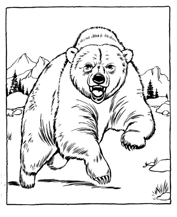 Coloring page: Zoo (Animals) #12861 - Free Printable Coloring Pages