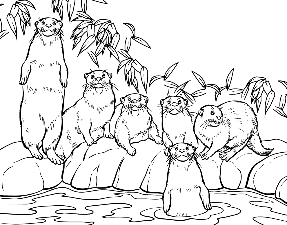 Coloring page: Zoo (Animals) #12879 - Free Printable Coloring Pages