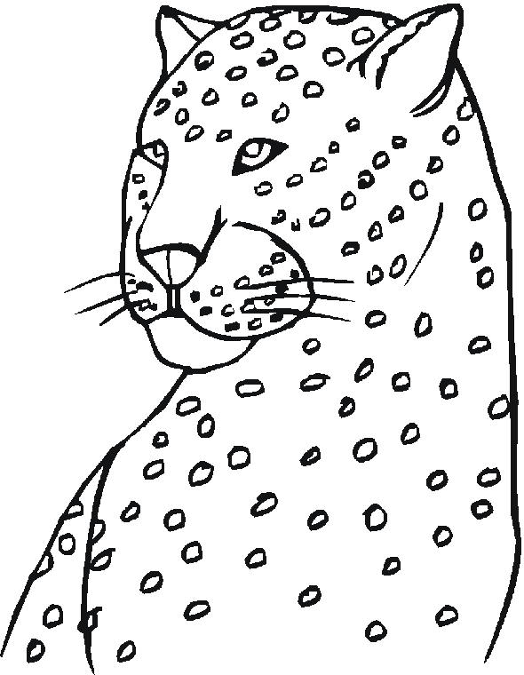 Coloring page: Zoo (Animals) #12884 - Free Printable Coloring Pages