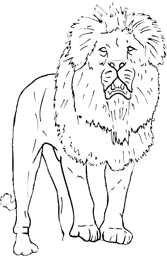 Coloring page: Zoo (Animals) #12893 - Free Printable Coloring Pages