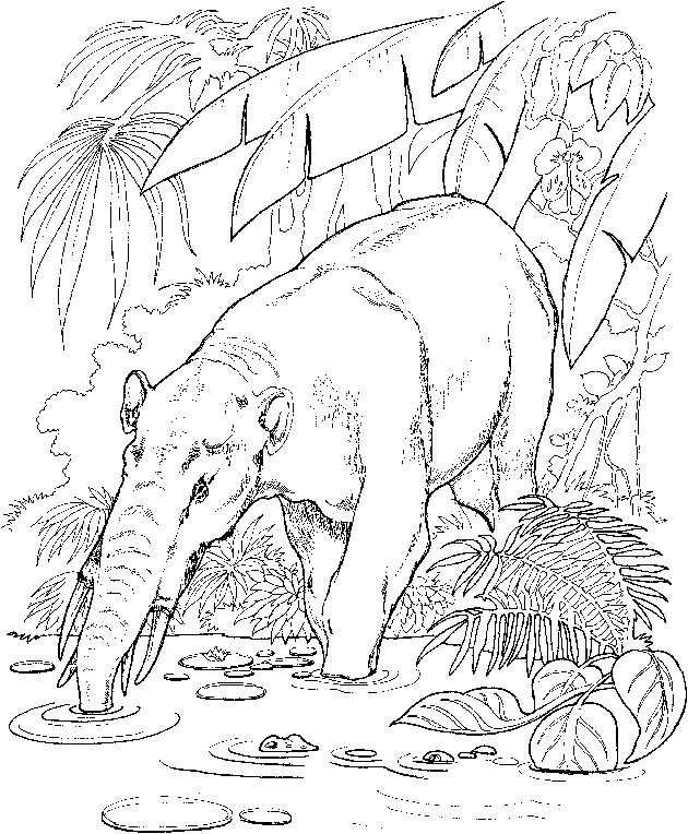 Coloring page: Zoo (Animals) #12903 - Free Printable Coloring Pages