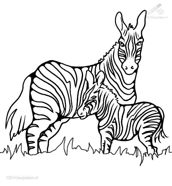 Coloring page: Zoo (Animals) #12907 - Free Printable Coloring Pages