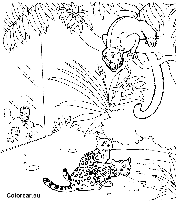 Coloring page: Zoo (Animals) #12916 - Free Printable Coloring Pages