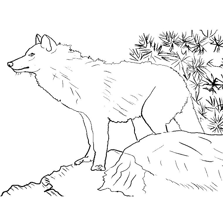 Coloring page: Zoo (Animals) #12922 - Free Printable Coloring Pages