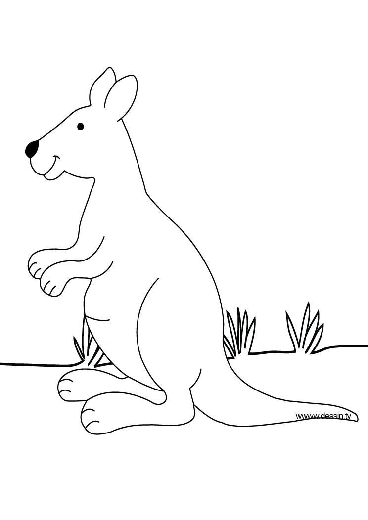Coloring page: Zoo (Animals) #12924 - Free Printable Coloring Pages