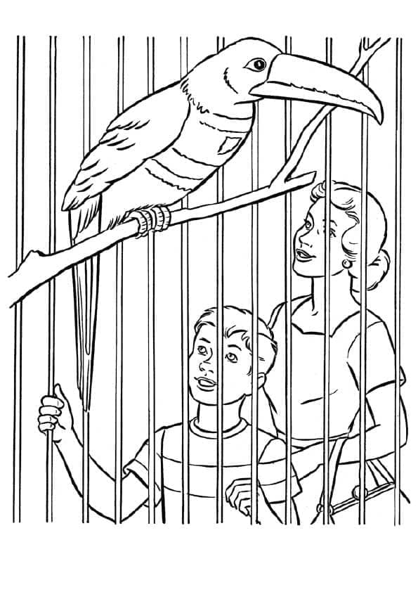 Free printable Zoo coloring page #201745 from Animals collection