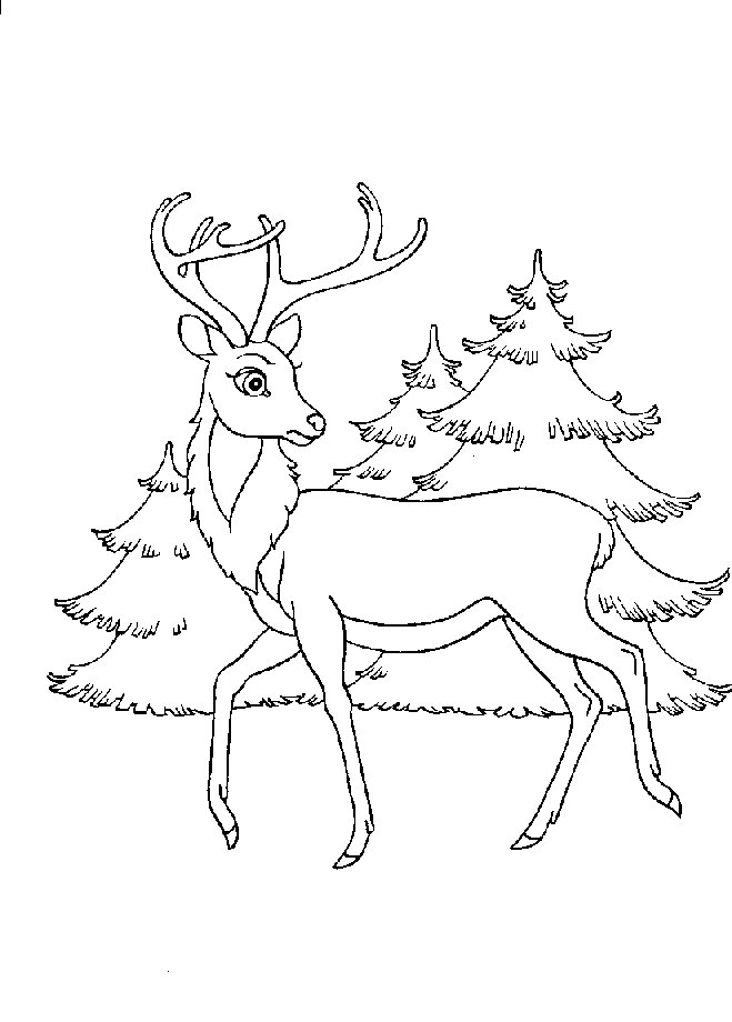 Coloring page: Bambi (Animation Movies) #128542 - Free Printable Coloring Pages