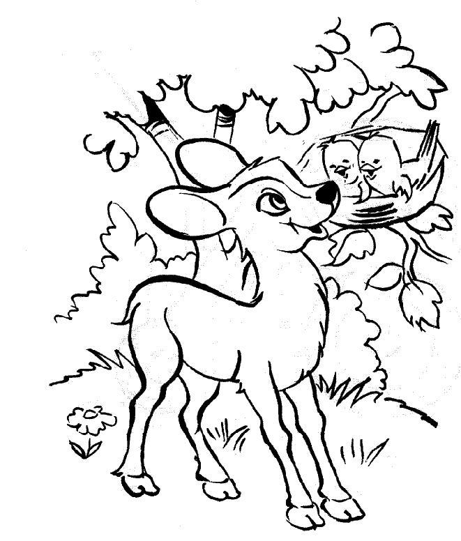 Coloring page: Bambi (Animation Movies) #128566 - Free Printable Coloring Pages