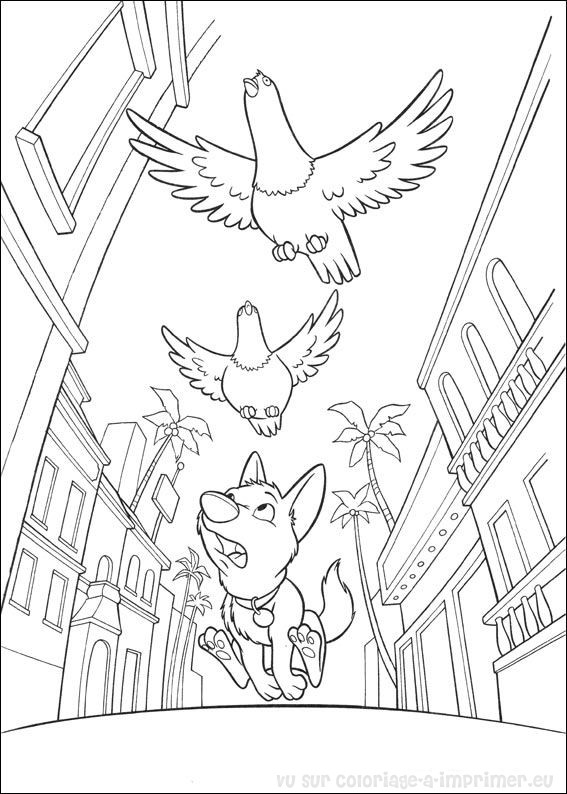 Coloring page: Bolt (Animation Movies) #131764 - Free Printable Coloring Pages