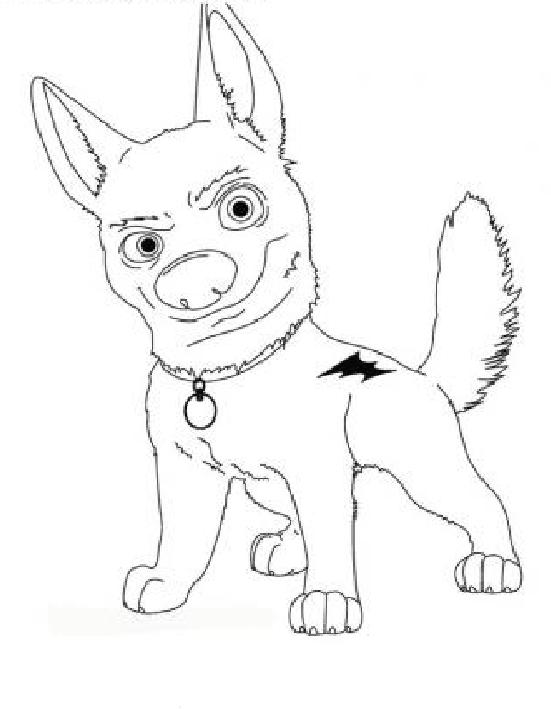 Coloring page: Bolt (Animation Movies) #131769 - Free Printable Coloring Pages