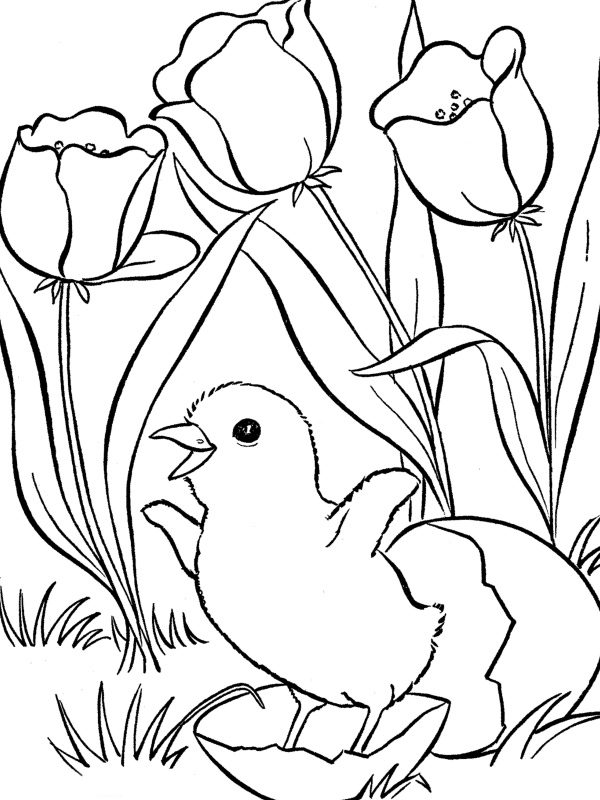 Coloring page: Chicken Little (Animation Movies) #73127 - Free Printable Coloring Pages