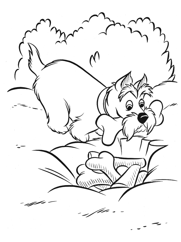 Coloring page: Lady and the Tramp (Animation Movies) #133332 - Free Printable Coloring Pages