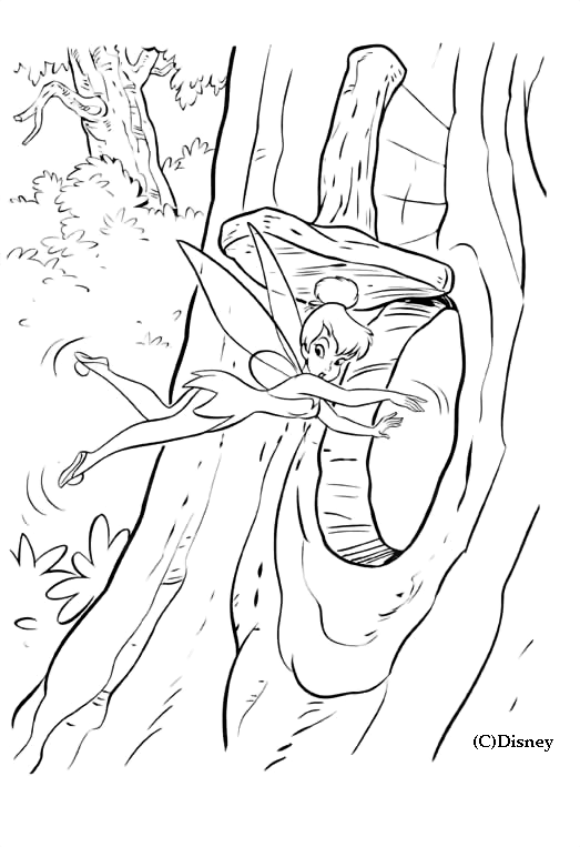 Coloring page: Peter Pan (Animation Movies) #128993 - Free Printable Coloring Pages