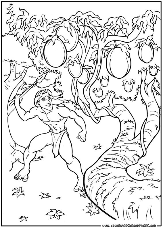 Coloring page: Tarzan (Animation Movies) #131107 - Free Printable Coloring Pages