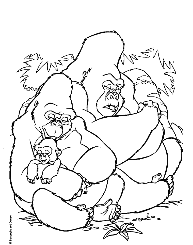 Coloring page: Tarzan (Animation Movies) #131222 - Free Printable Coloring Pages