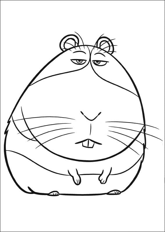 Coloring page: The Secret Life of Pets (Animation Movies) #206634 - Free Printable Coloring Pages