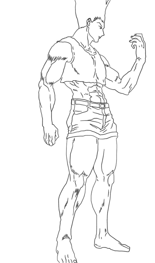 Free printable Hunter x Hunter coloring page #201147 from Anime and Manga collection