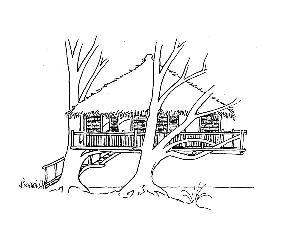 Coloring page: Tree House (Buildings and Architecture) #66040 - Free Printable Coloring Pages