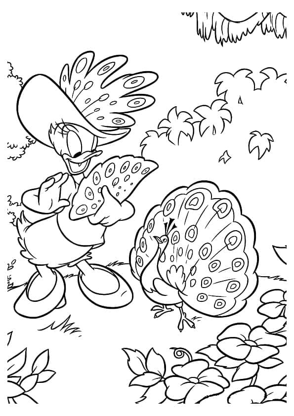 Free printable Daisy Duck coloring page #186322 from Cartoon Characters collection Free printable Daisy Duck coloring page #186322 from Cartoon Characters collection