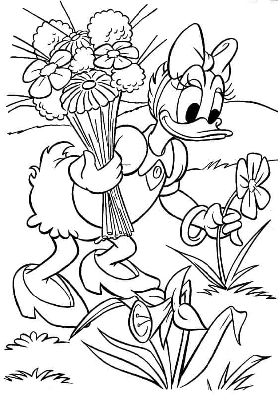 Free printable Daisy Duck coloring page #186333 from Cartoon Characters collection Free printable Daisy Duck coloring page #186333 from Cartoon Characters collection