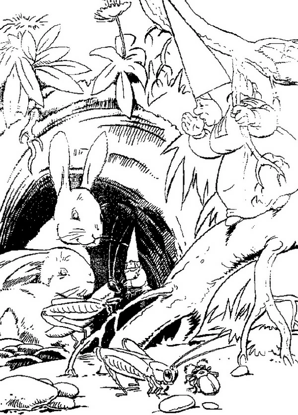 Free printable David, the Gnome coloring page #51255 from Cartoon Characters collection Free printable David, the Gnome coloring page #51255 from Cartoon Characters collection