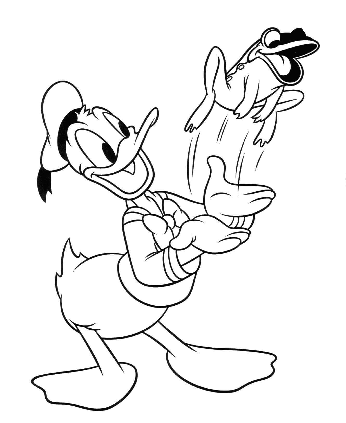 Free printable Donald Duck coloring page #186269 from Cartoon Characters collection Free printable Donald Duck coloring page #186269 from Cartoon Characters collection