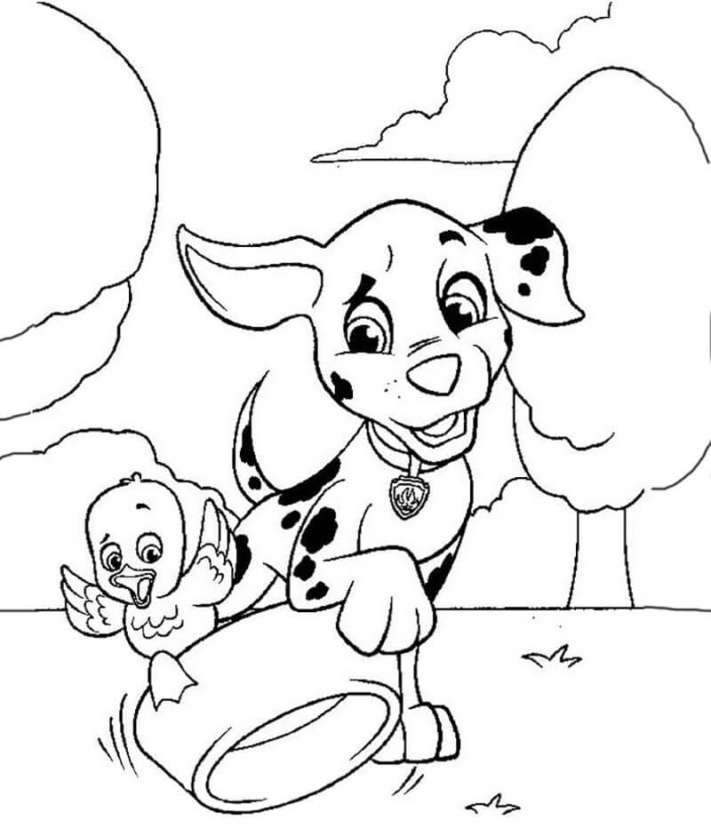 Free printable Marcus PAW Patrol coloring page #181679 from Cartoon Characters collection