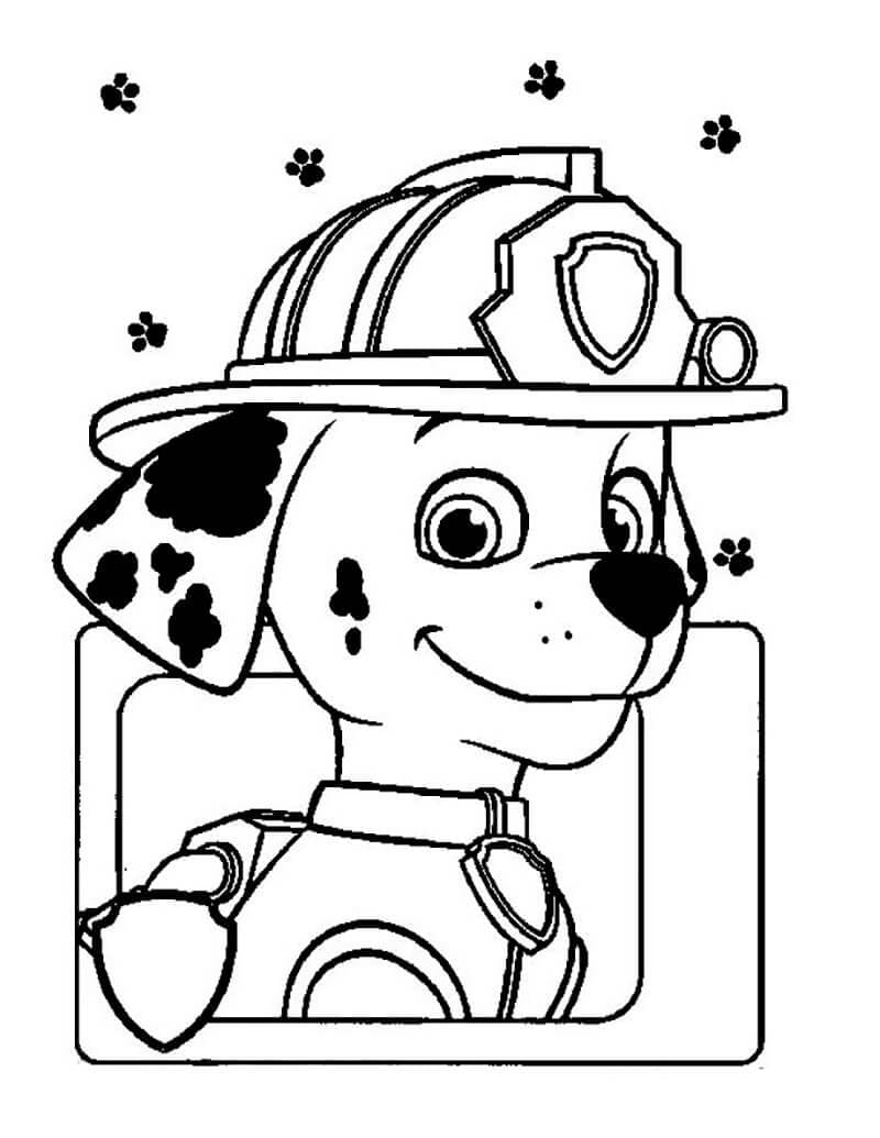 Free printable Marcus PAW Patrol coloring page #181682 from Cartoon Characters collection