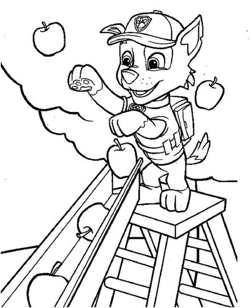 Free printable Rocky PAW Patrol coloring page #181729 from Cartoon Characters collection
