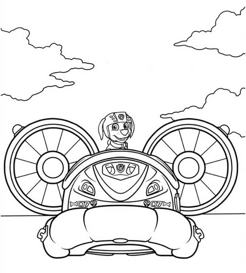 Free printable Zuma PAW Patrol coloring page #181683 from Cartoon Characters collection Free printable Zuma PAW Patrol coloring page #181683 from Cartoon Characters collection