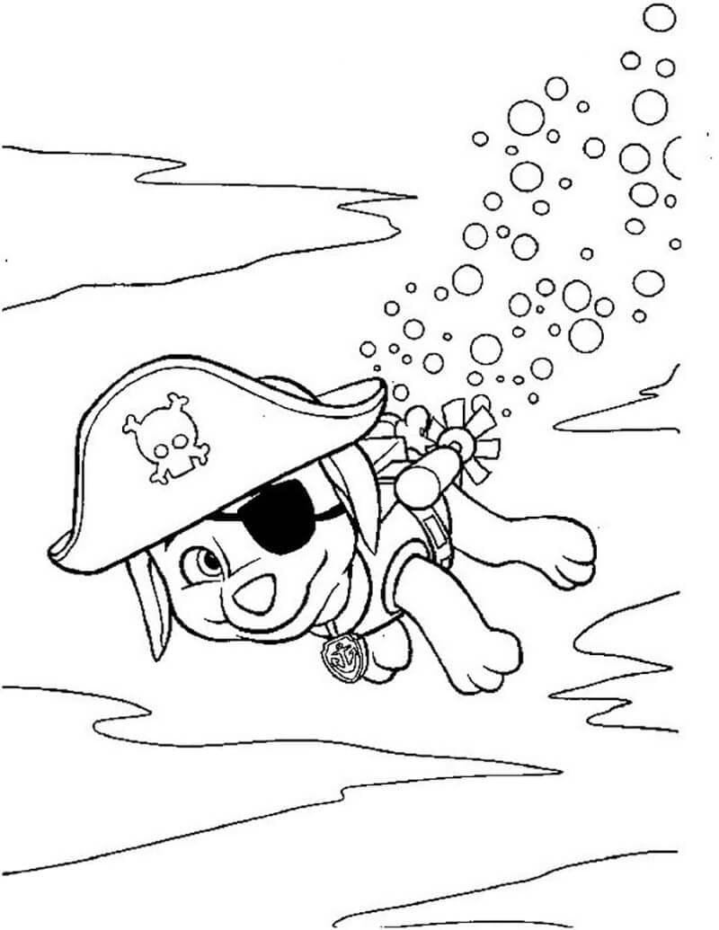 Free printable Zuma PAW Patrol coloring page #181684 from Cartoon Characters collection
