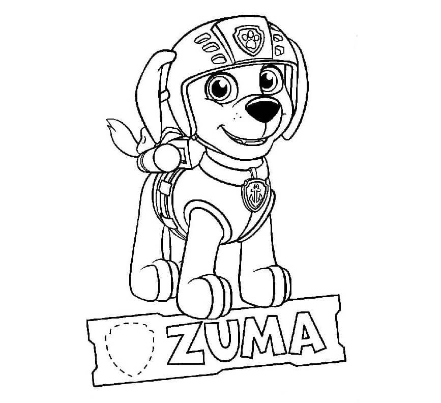 Free printable Zuma PAW Patrol coloring page #181685 from Cartoon Characters collection
