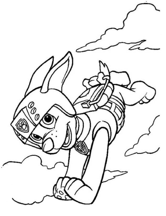 Free printable Zuma PAW Patrol coloring page #181686 from Cartoon Characters collection