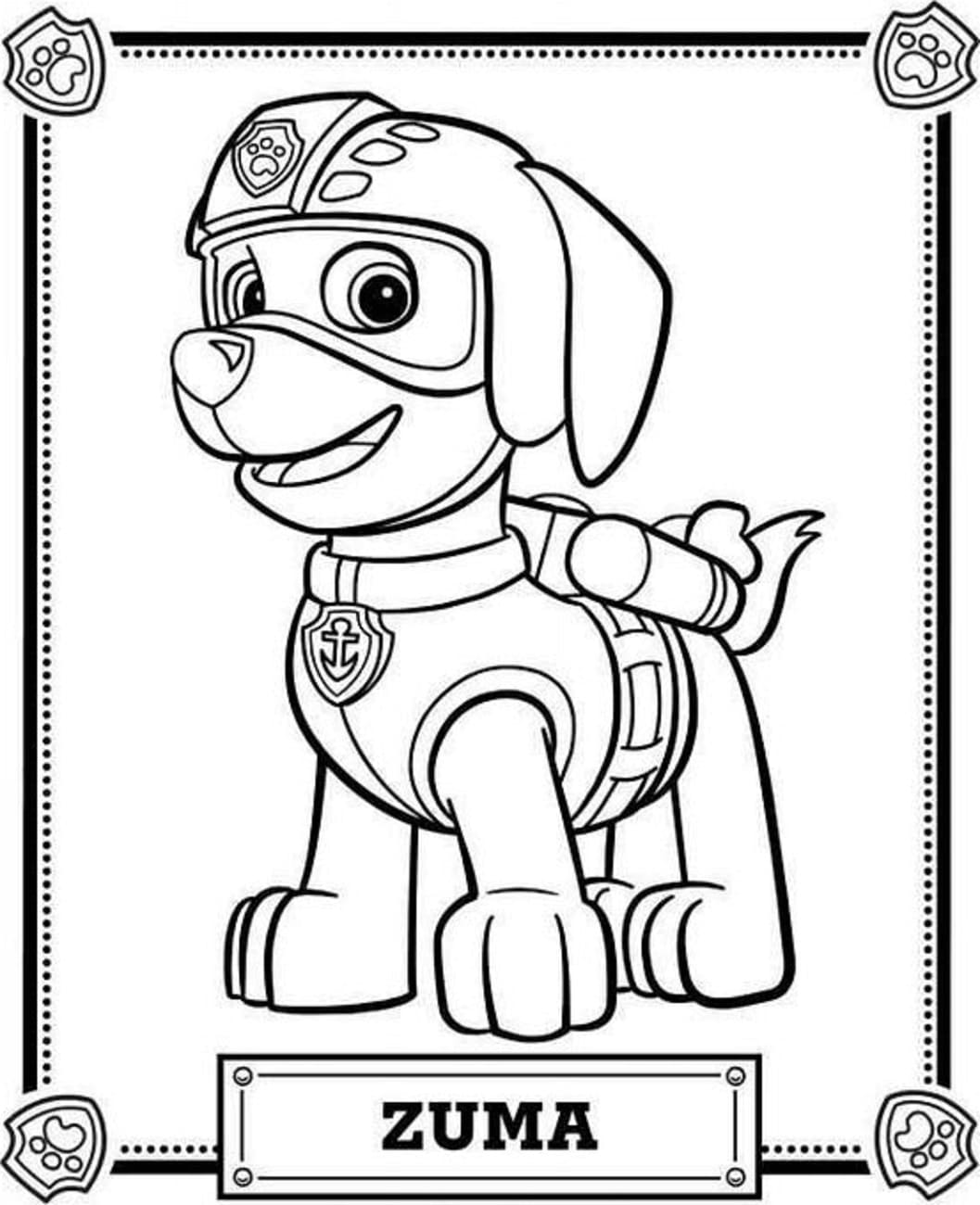 Free printable Zuma PAW Patrol coloring page #181691 from Cartoon Characters collection Free printable Zuma PAW Patrol coloring page #181691 from Cartoon Characters collection