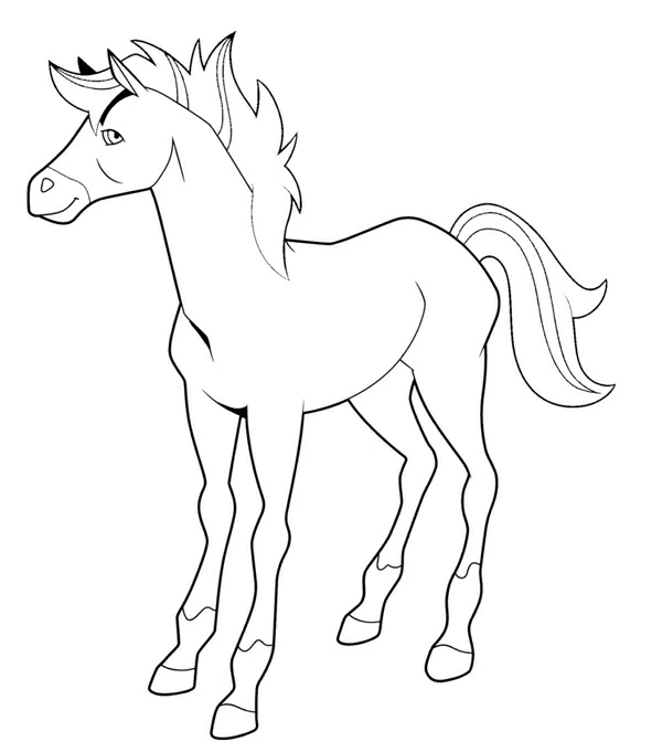 Free printable Horseland coloring page #53855 from Cartoons and Animated Shows collection