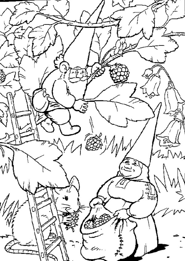 Coloring page: David, the Gnome (Cartoons) #51254 - Free Printable Coloring Pages