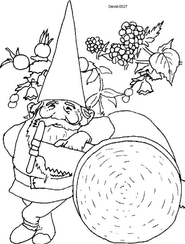 Coloring page: David, the Gnome (Cartoons) #51261 - Free Printable Coloring Pages