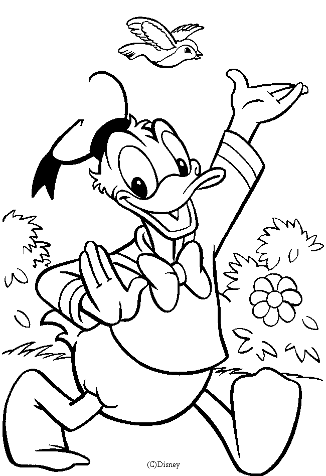 Coloring page: Donald Duck (Cartoons) #30159 - Free Printable Coloring Pages
