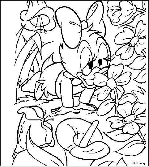 Coloring page: Donald Duck (Cartoons) #30182 - Free Printable Coloring Pages