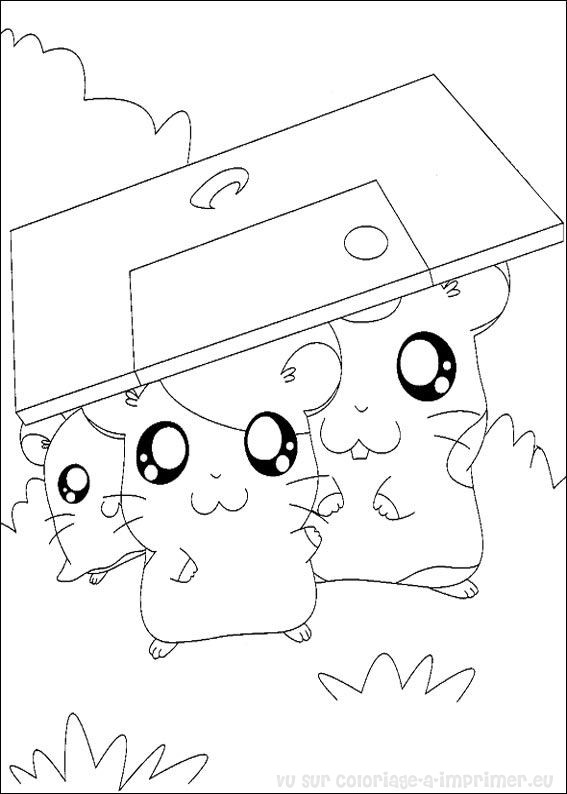 Coloring page: Hamtaro (Cartoons) #40169 - Free Printable Coloring Pages