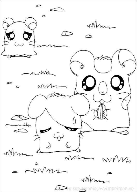 Coloring page: Hamtaro (Cartoons) #40188 - Free Printable Coloring Pages