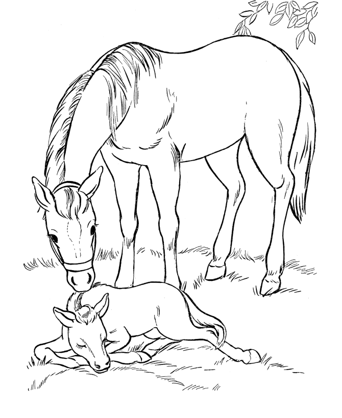 Coloring page: Horseland (Cartoons) #53922 - Free Printable Coloring Pages