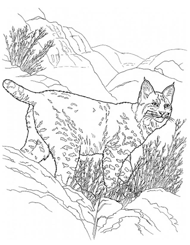 Coloring page: Invizimals (Cartoons) #40334 - Free Printable Coloring Pages