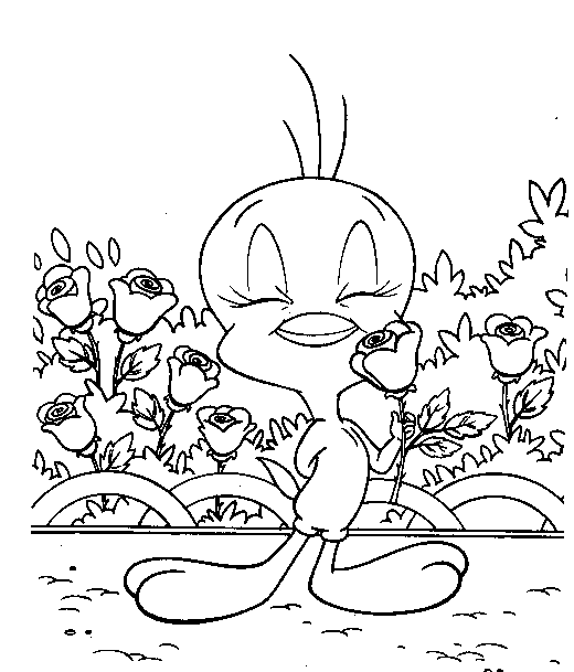 Coloring page: Tweety and Sylvester (Cartoons) #29351 - Free Printable Coloring Pages