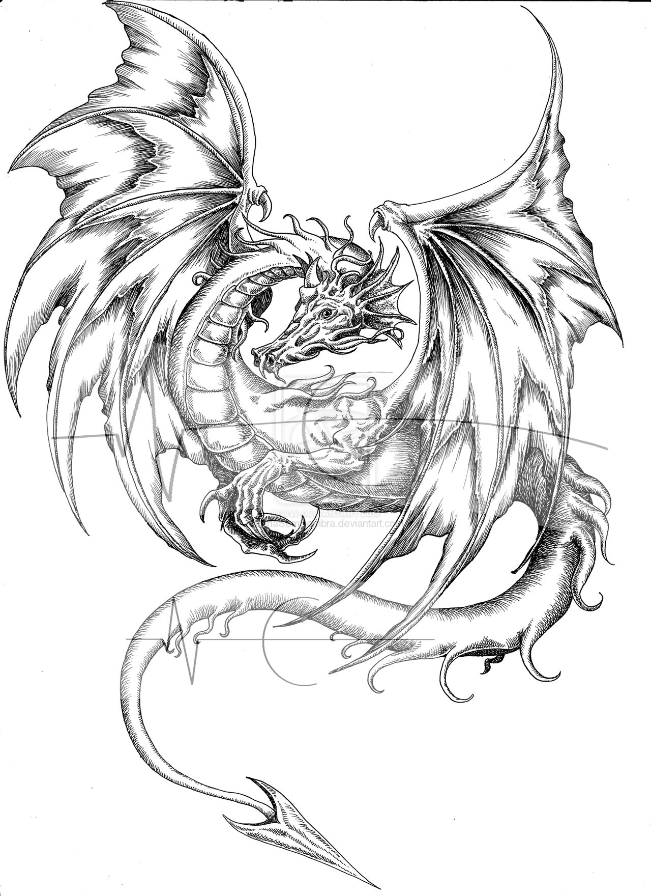 Coloring page: Dragon (Characters) #148555 - Free Printable Coloring Pages