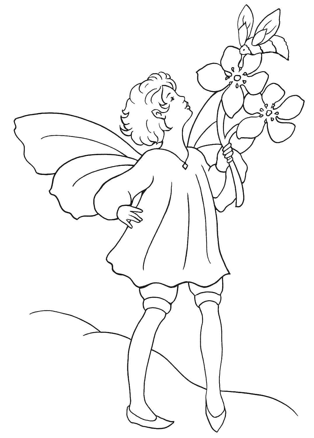 Free printable Elf coloring page #193715 from Characters collection Free printable Elf coloring page #193715 from Characters collection